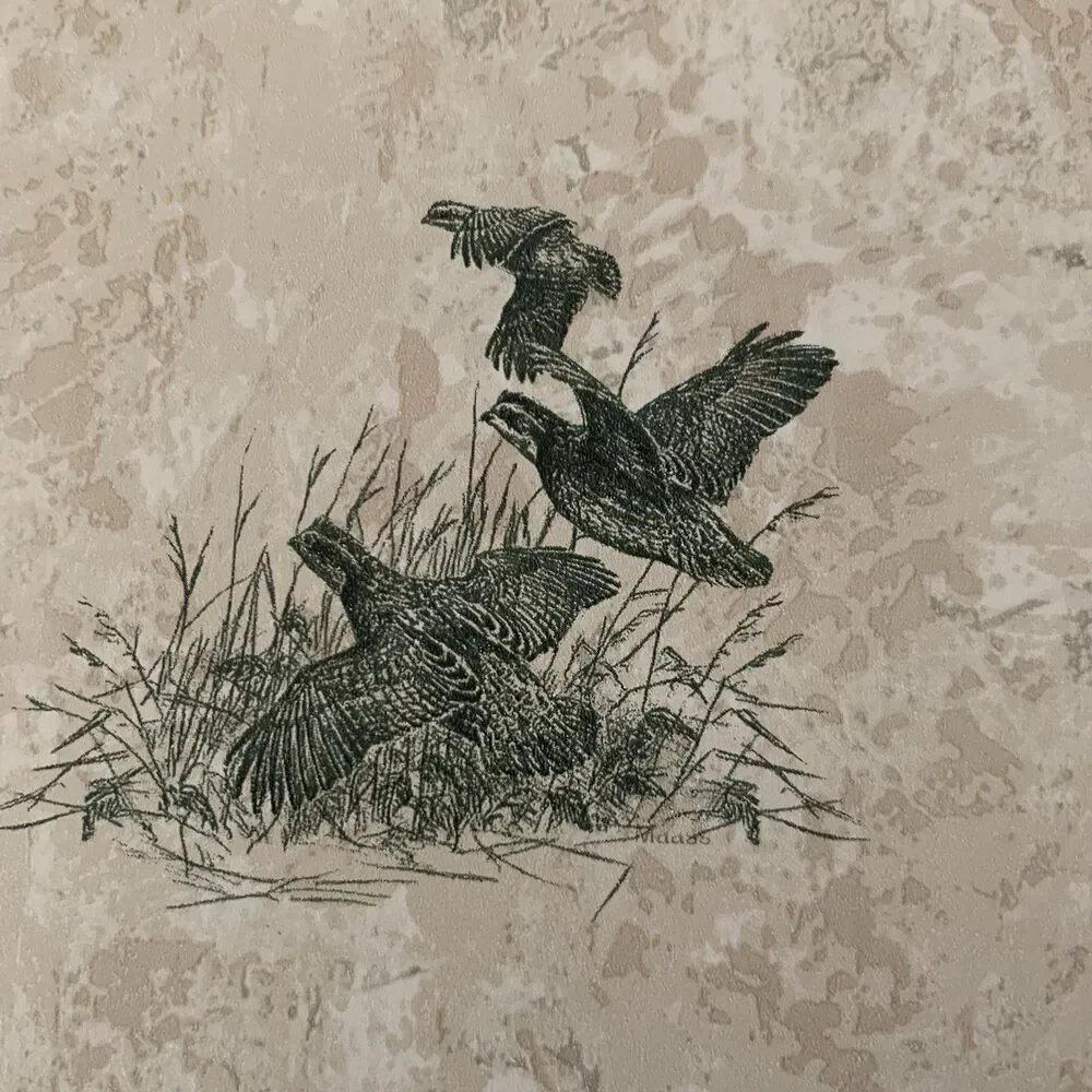 Wallpaper Pre-pasted Vinyl Deer, Doe, Buck, Fawn, Chucker, Ducks 56 Sq. ft.